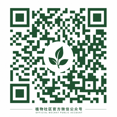 蜜桃公众号二维码